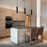 Luxury Kitzbuheler Alpen Penthouse With Sauna Hollersbach *