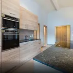 Luxury Kitzbuheler Alpen Penthouse With Sauna Hollersbach