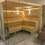 Luxury Kitzbuheler Alpen Penthouse With Sauna Hollersbach Lejlighed