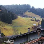 Luxury Kitzbuheler Alpen Penthouse With Sauna Hollersbach *