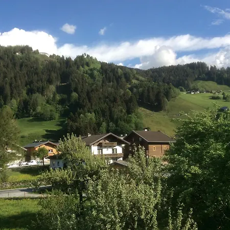 Apartment Kitzbuheler Alpen Penthouse Hollersbach