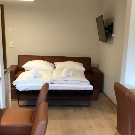 Luxury Kitzbuheler Alpen Penthouse With Sauna Hollersbach