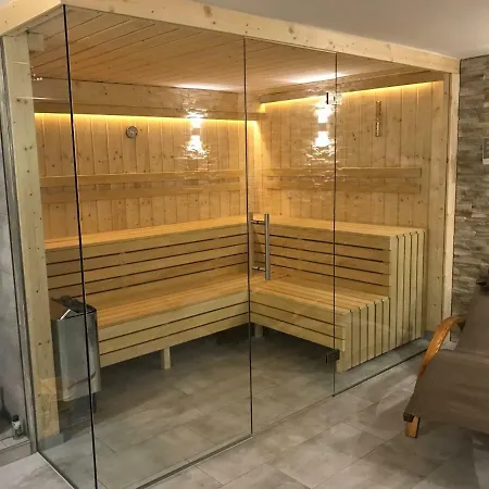 Luxury Kitzbuheler Alpen Penthouse With Sauna Hollersbach Apartman