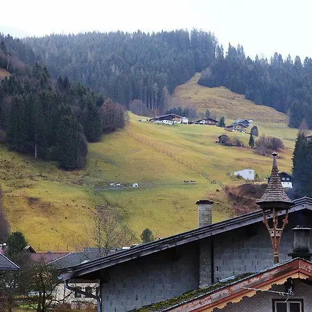Luxury Kitzbuheler Alpen Penthouse With Sauna Hollersbach *