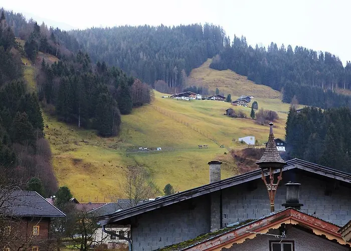 Kitzbuheler Alpen Penthouse Hollersbach *
